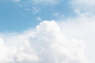 Welchen Einfluss hat das Wetter auf die Bierproduktion?