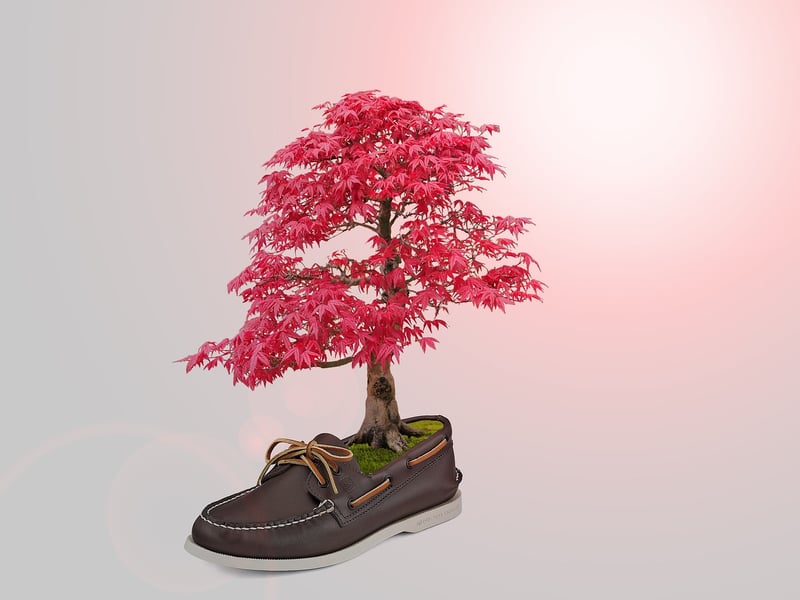 Welche Schuhfarben passen zu jedem Outfit universal?