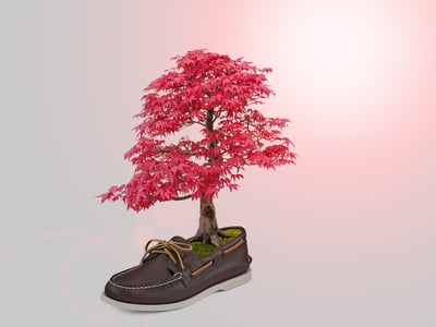 Welche Schuhfarben passen zu jedem Outfit universal?