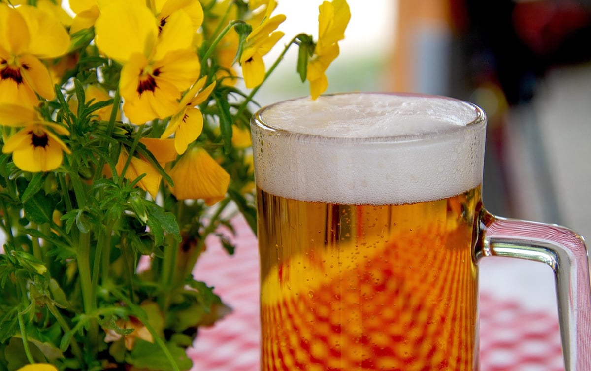 Wie lässt sich Bier perfekt mit traditioneller Küche kombinieren?