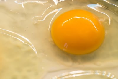 Kochen mit Kindern: Kreative Rezepte für kleine Köche